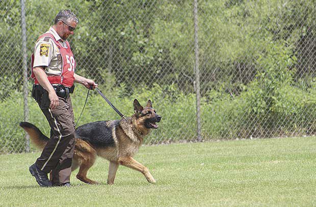K-9s test skills